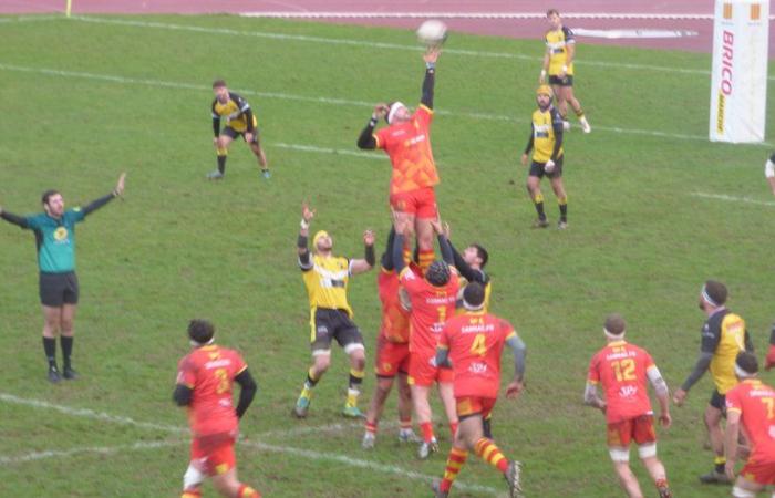 Foix. Rugby: senior teams win