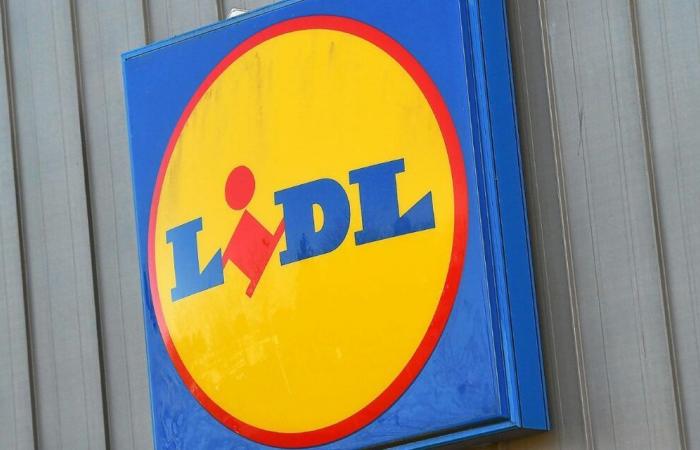 Nearly 2,000 m² of sales space: the largest Lidl in Brittany will soon open its doors in Rennes