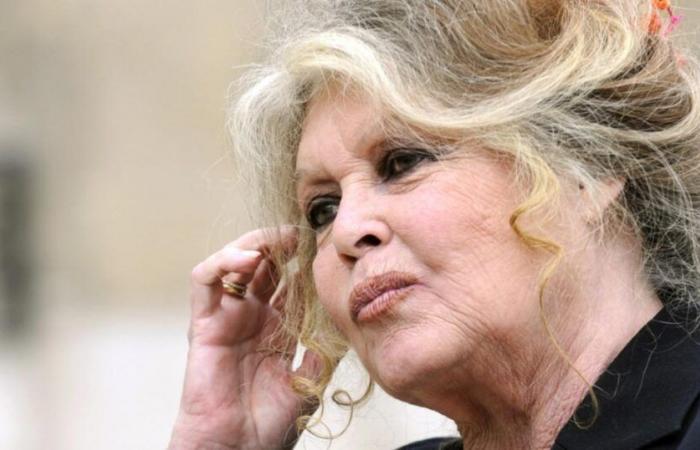 Brigitte Bardot expresses her joy after the release of Paul Watson