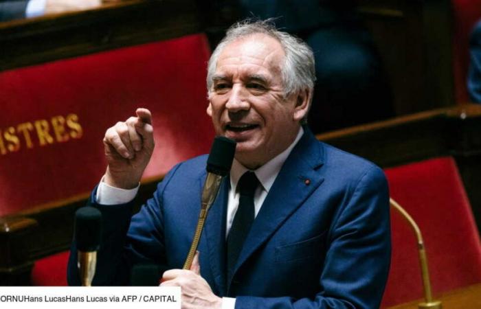 How much did François Bayrou’s jet trip cost?