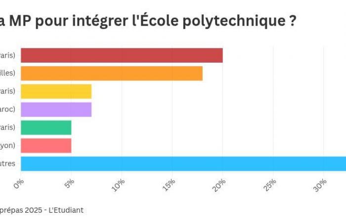 What are the best preparations for joining Polytechnique?