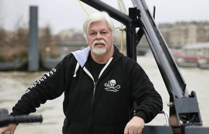 Paul Watson is free: Denmark refuses to extradite him to Japan