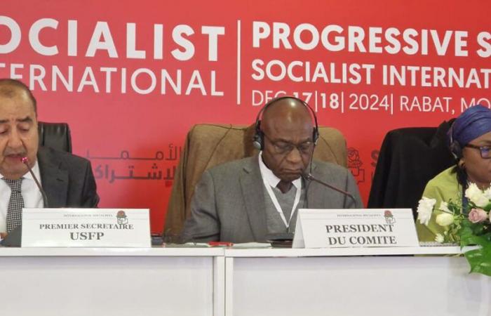 Meeting of the Africa Committee of the Socialist International: the speech of Driss Lachgar