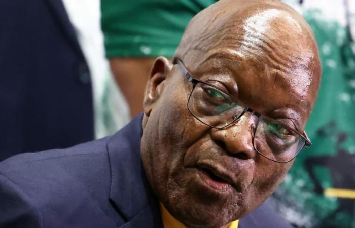 South Africa: Zuma calls for unity of black parties to regain power