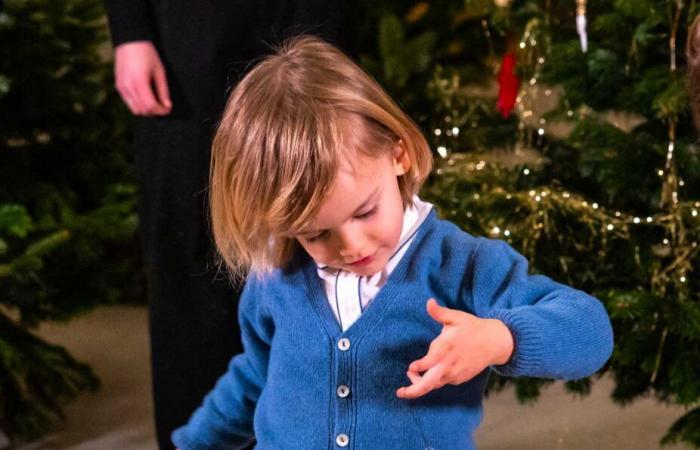 Queen Silvia’s 8 grandchildren gathered to decorate Christmas trees with their grandmother