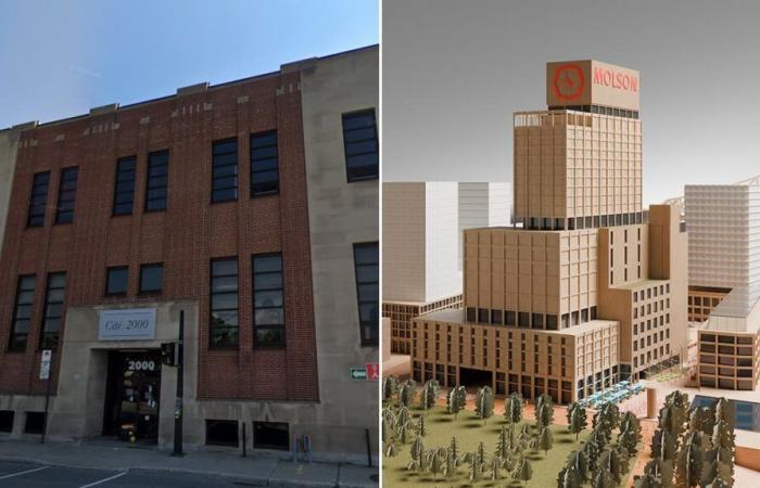 Musicians fear the Quartier Molson megaproject: what future for Cité 2000?