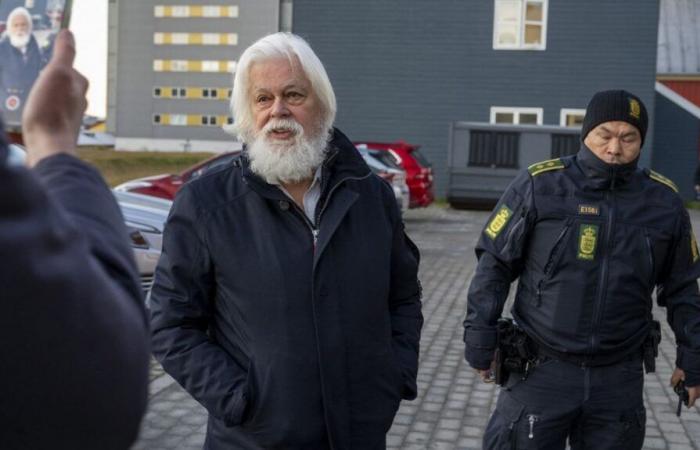 Whale defender Paul Watson, detained in Denmark, has been released, announces his association, Sea Shepherd