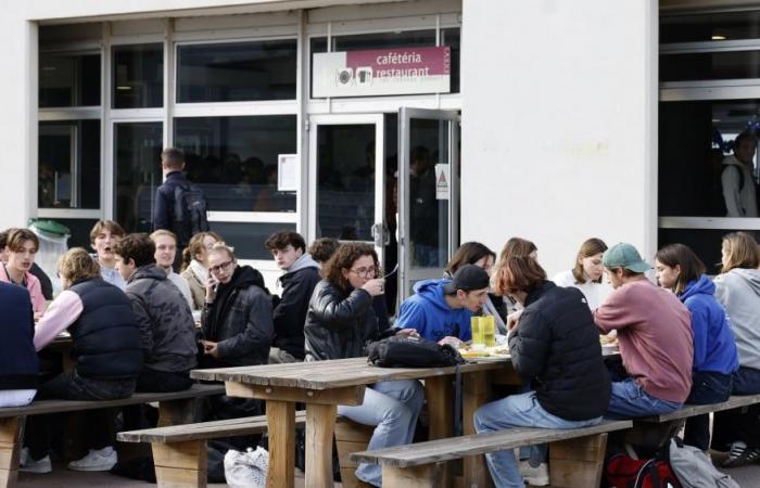 5,000 free meals, the Christmas gesture of the City and the Crous against student precariousness