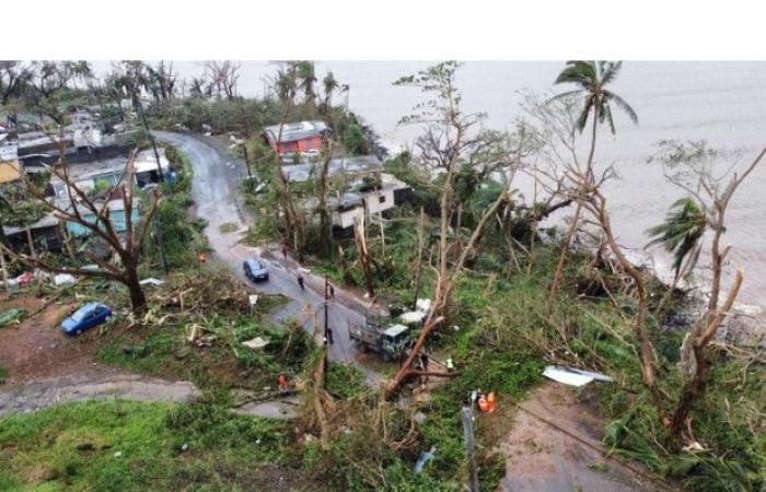 “The priority is to join our architect colleagues” after Cyclone Chido (COARM)