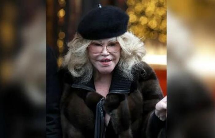 ‘Catwoman’ Jocelyn Wildenstein, 84, Spotted in Paris Displaying Smooth Complexion after Insisting She’s ‘Never’ had Plastic Surgery Despite Drastic Transformation