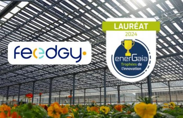 Feedgy rewarded for its innovations: Winner of the Deployability prize at the EnerGaïa Forum Innovation Trophies