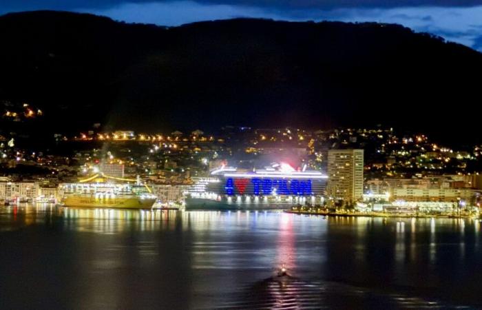 Port of Toulon: a first liner electrically connected to the dock