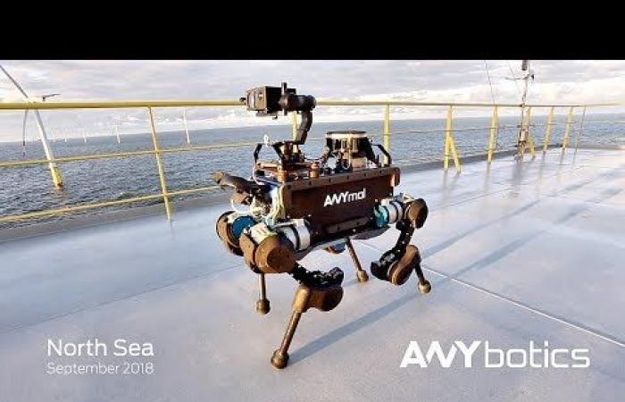 a robot dog that excels in industrial missions