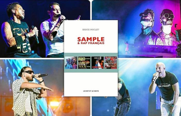 “Sample & French rap”, a book for fans, but not only…