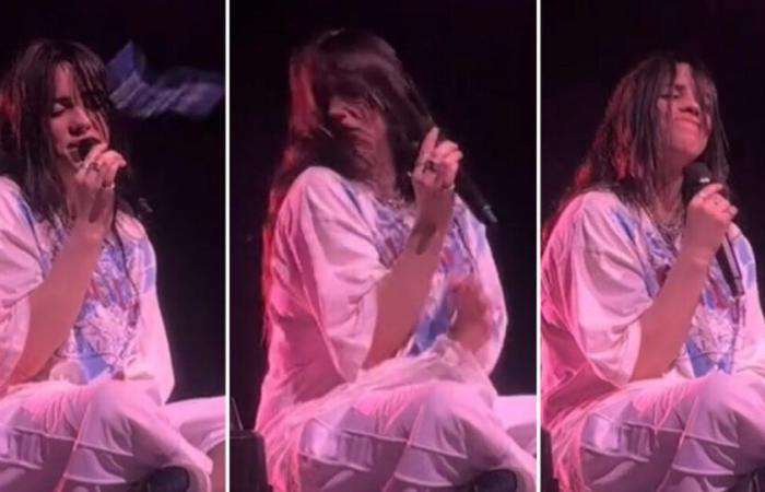 Billie Eilish hit in the face by a necklace during a concert: her reaction goes viral on TikTok. What happened – THE VIDEO