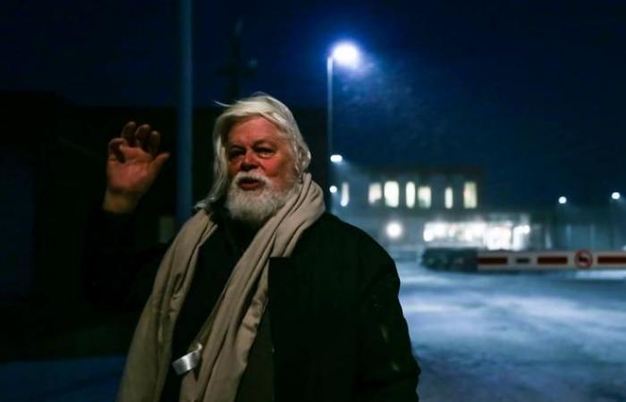 Anti-whaling activist Watson freed from Greenland prison after Denmark refuses extradition to Japan