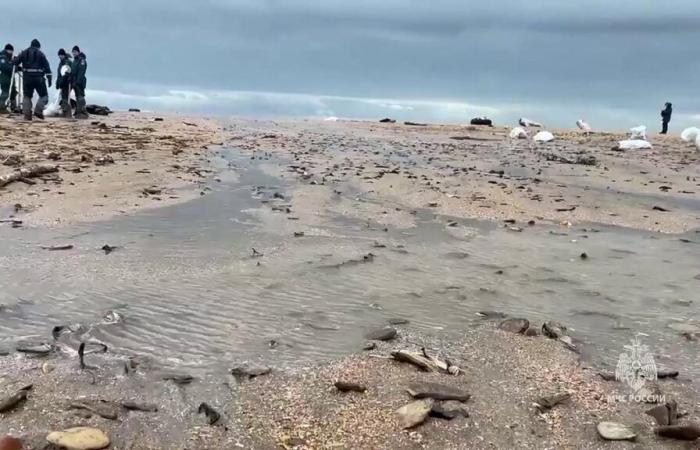 oil spill on 30 km of the riviera after the sinking of two oil tankers