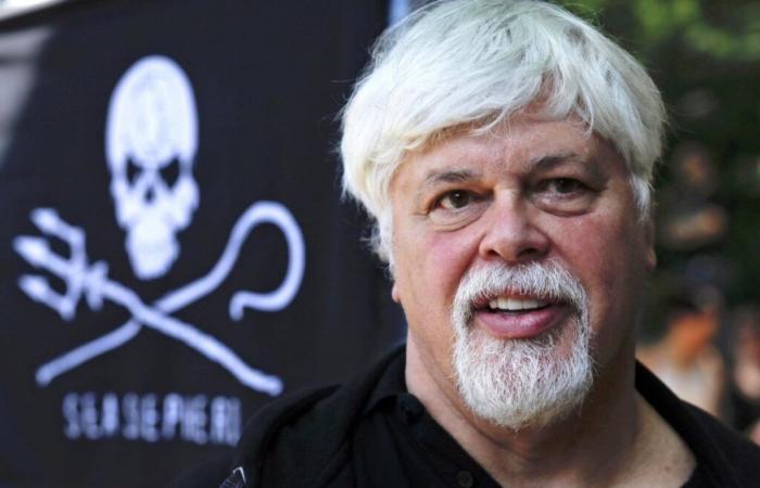 Freed anti-whaling activist Paul Watson won’t face extradition by Denmark to Japan – lawyer