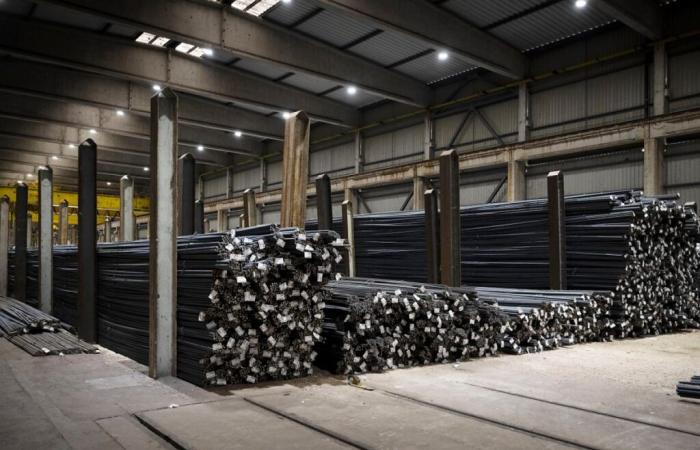 Aid to the steel sector adopted by both Chambers