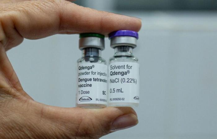 Dengue: a new vaccine recommended in overseas territories