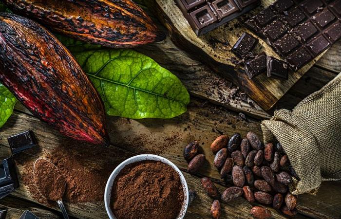 Cocoa prices rise by 50% before the holidays