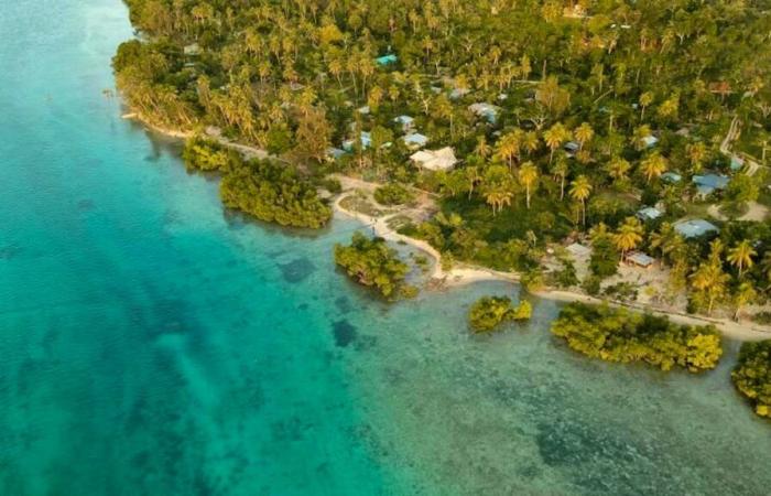 Powerful earthquake off the coast of Vanuatu: a witness reports victims