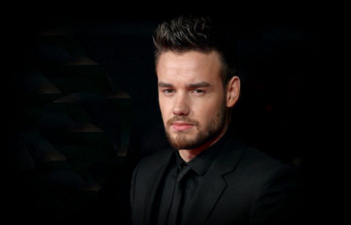 Witness describes Liam Payne’s fatal fall: ‘It’s burned into my brain…’