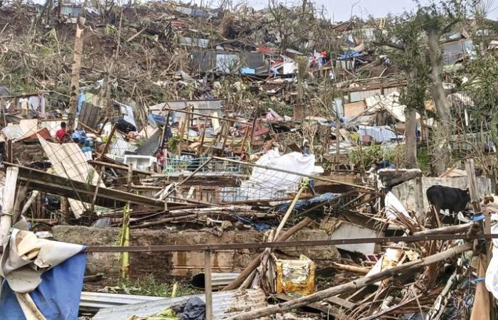 MAYOTTE / Cyclone Chido: a devastating human and material toll