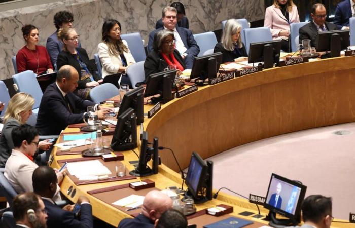 UN Security Council calls for “inclusive” political process in Syria