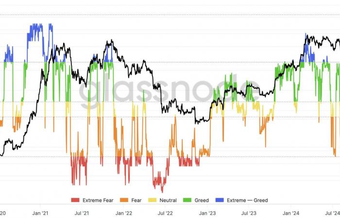 Nothing seems to be able to shake Bitcoin – The Market Check