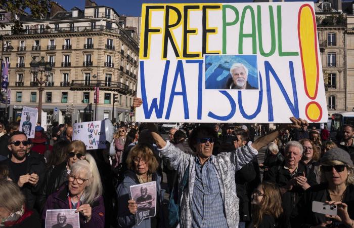 After the release of environmental activist Paul Watson, exultation in France, incomprehension in Japan