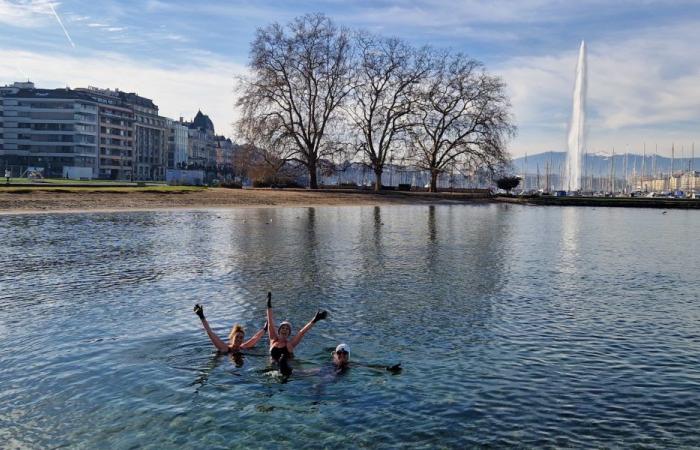 Swimming in cold water is gaining popularity in Geneva