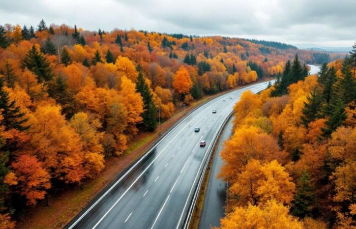 The French construction colossus takes part in an unprecedented 530 million euro motorway project in the Czech Republic