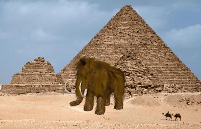 Mammoths and pyramids coexisted, you are a victim of the Tiffany effect if you don’t believe in it