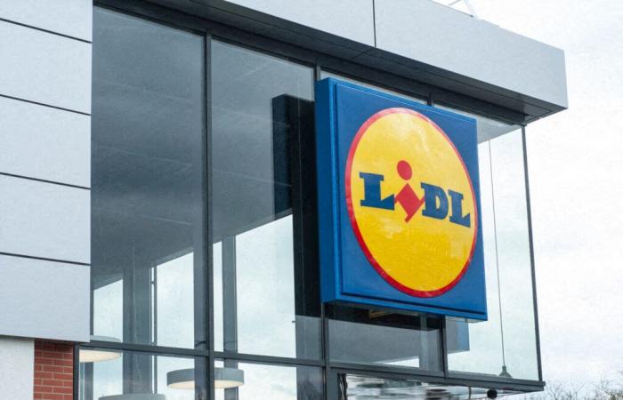 With 1,950 m² of surface area, the largest Lidl store in Rennes will open in this district