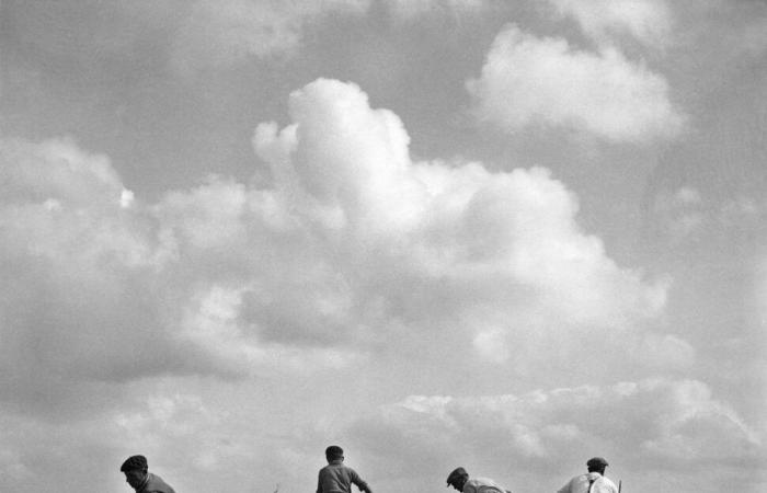 When the great photographers immortalized the two Charentes