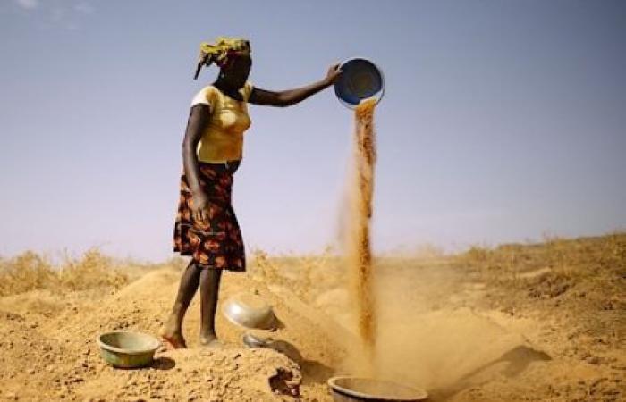 The Pan African Farmers Organization and the AfDB strengthen their partnership