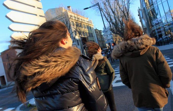 WEATHER REPORT. Wind gusts of more than 130 km/h: a “real tramontane storm” expected