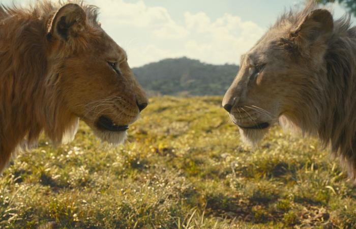 Mufasa review: The Lion King prequel feels like a DTV Disney knockoff