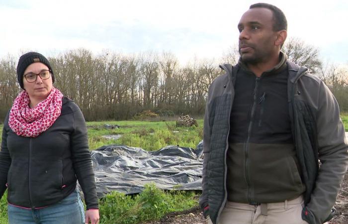 after flooding in their fields, this couple of organic producers adapt