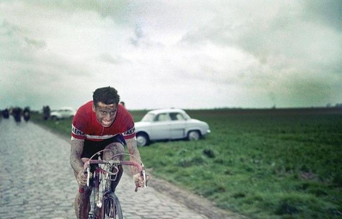 Portrait of cycling icon Rik Van Looy, the second best Belgian rider ever