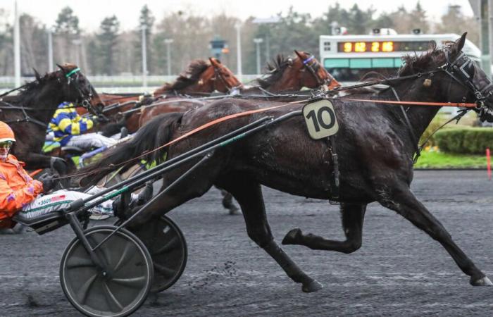 PMU – Arrival of the quinté on Wednesday, December 18 at Paris-Vincennes: the most beautiful Haitian Fight Song