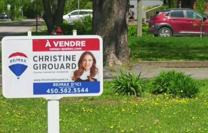 Former star real estate broker Christine Girouard disbarred for life