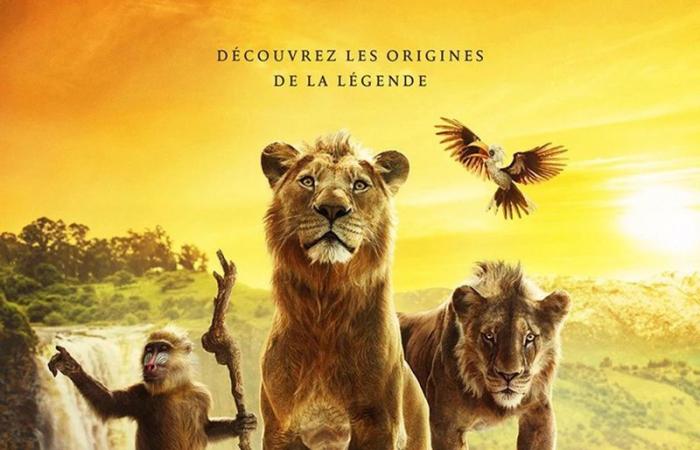 Cinema releases: “Mufasa: The Lion King”, “Never without my shrink”