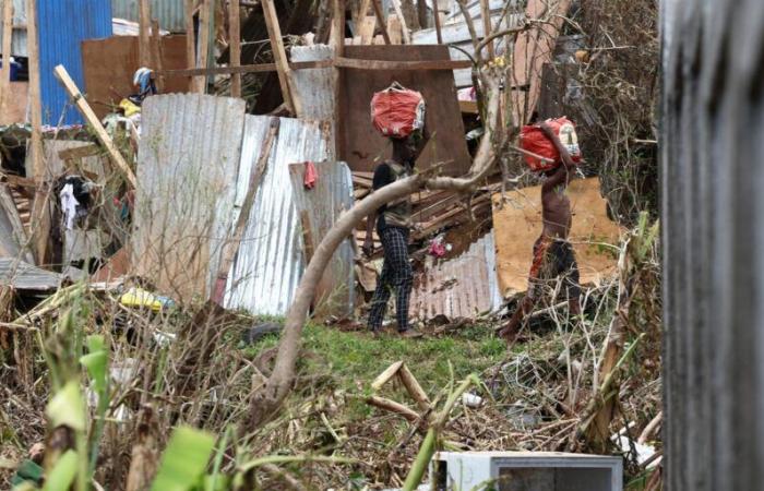 on a devastated island, urgent distribution of water and food begins