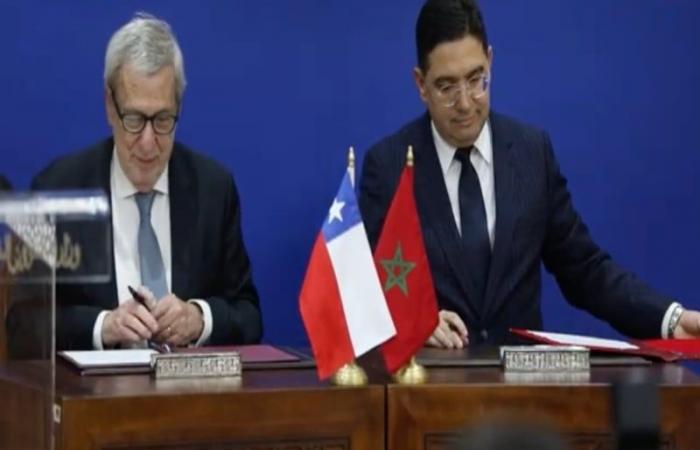 Morocco-Chile: Towards a strengthened partnership