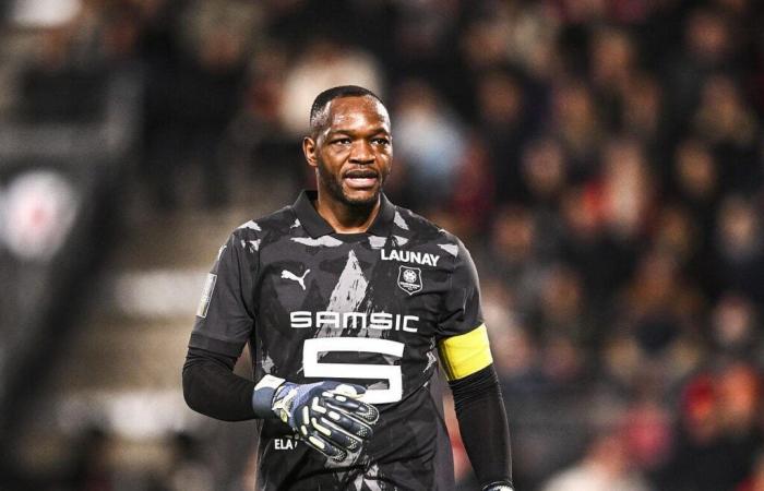 Rennes: Mandanda’s successor already found