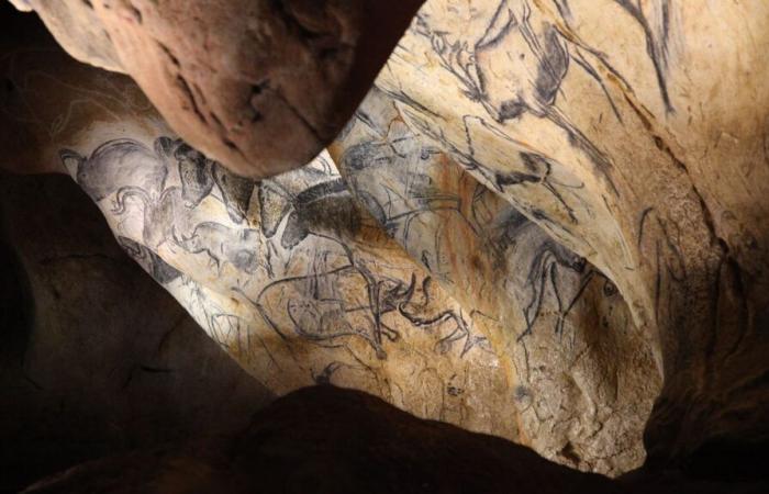 The Chauvet cave, Sistine chapel of prehistory, celebrates thirty years since its discovery