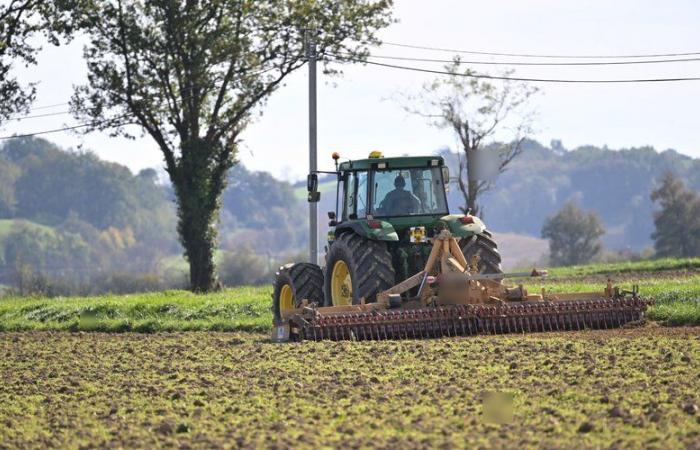 TRUE OR FALSE. Has French agriculture really fallen to 6th place in world exports, as Marine Le Pen claims?