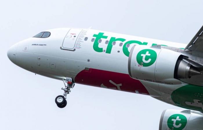 Transavia strengthens its network: a new Montpellier-Bastia line for summer 2025